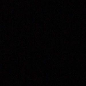 Meet your Posher, Fredi